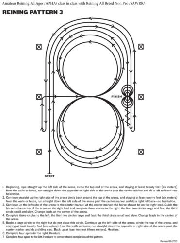 REINING-PATTERN-3