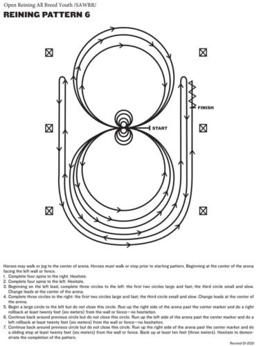 REINING-PATTERN-6