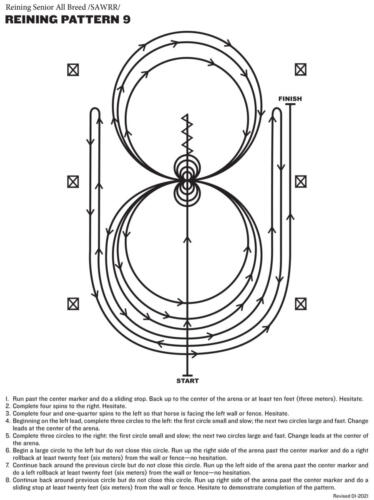 REINING-PATTERN-9